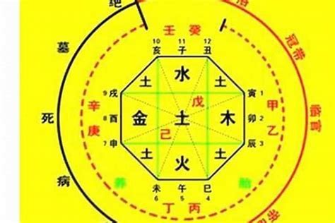 喜木火|八字入门基础 第六篇 如何判断八字喜用神